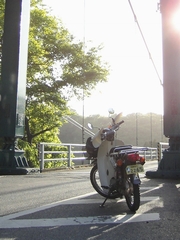 津久井湖のつり橋にて